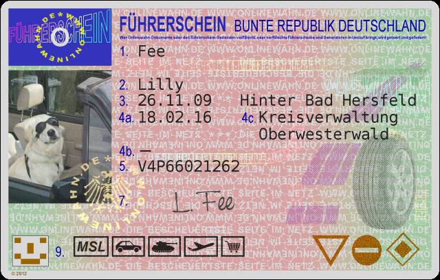Führerschein
